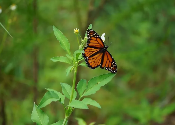 Apartament Johnhara & Jalisos